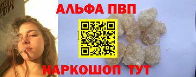 гашик Новозыбков
