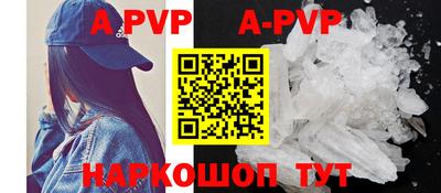 гашик Новозыбков