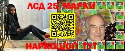ECSTASY Новодвинск