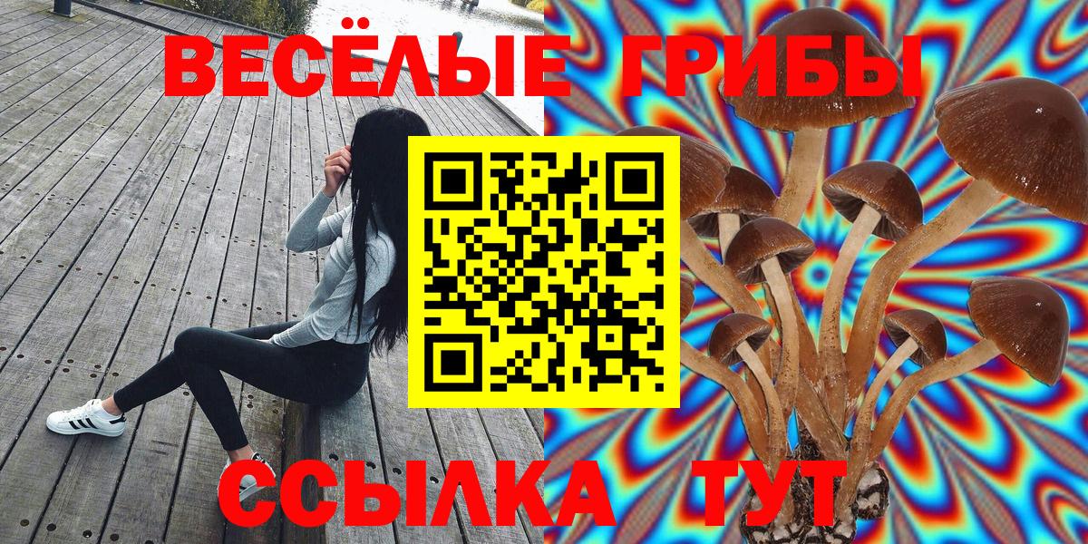 Псилоцибиновые грибы мицелий  Вход с VPN  купить  сайты  Благовещенск 